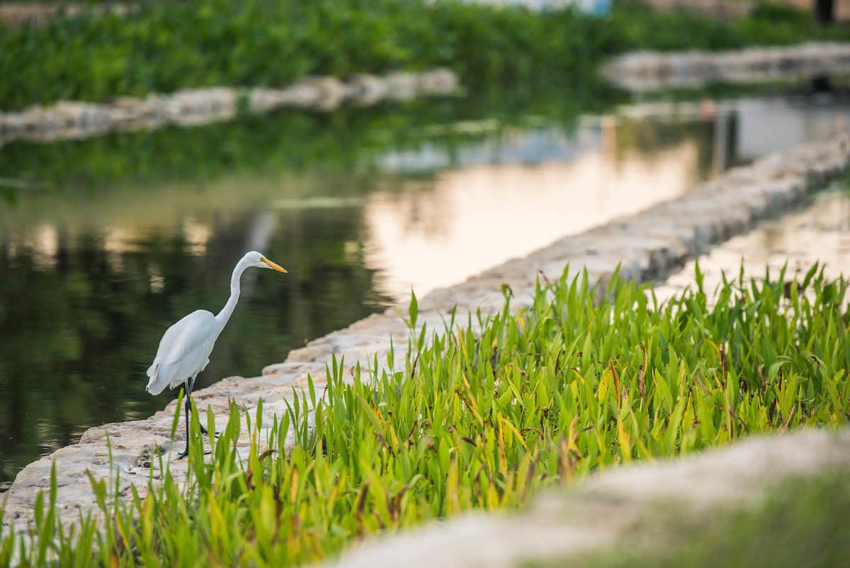 San Antonio park