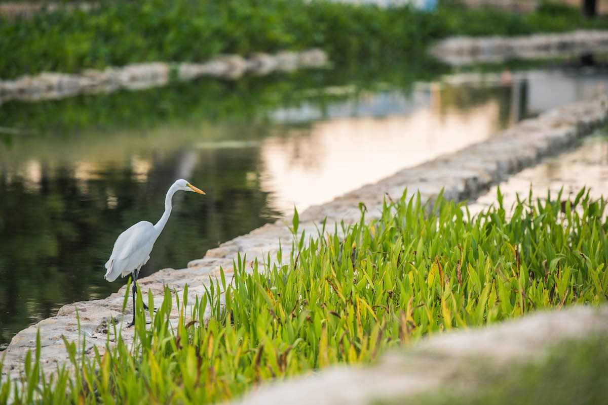 San Antonio park