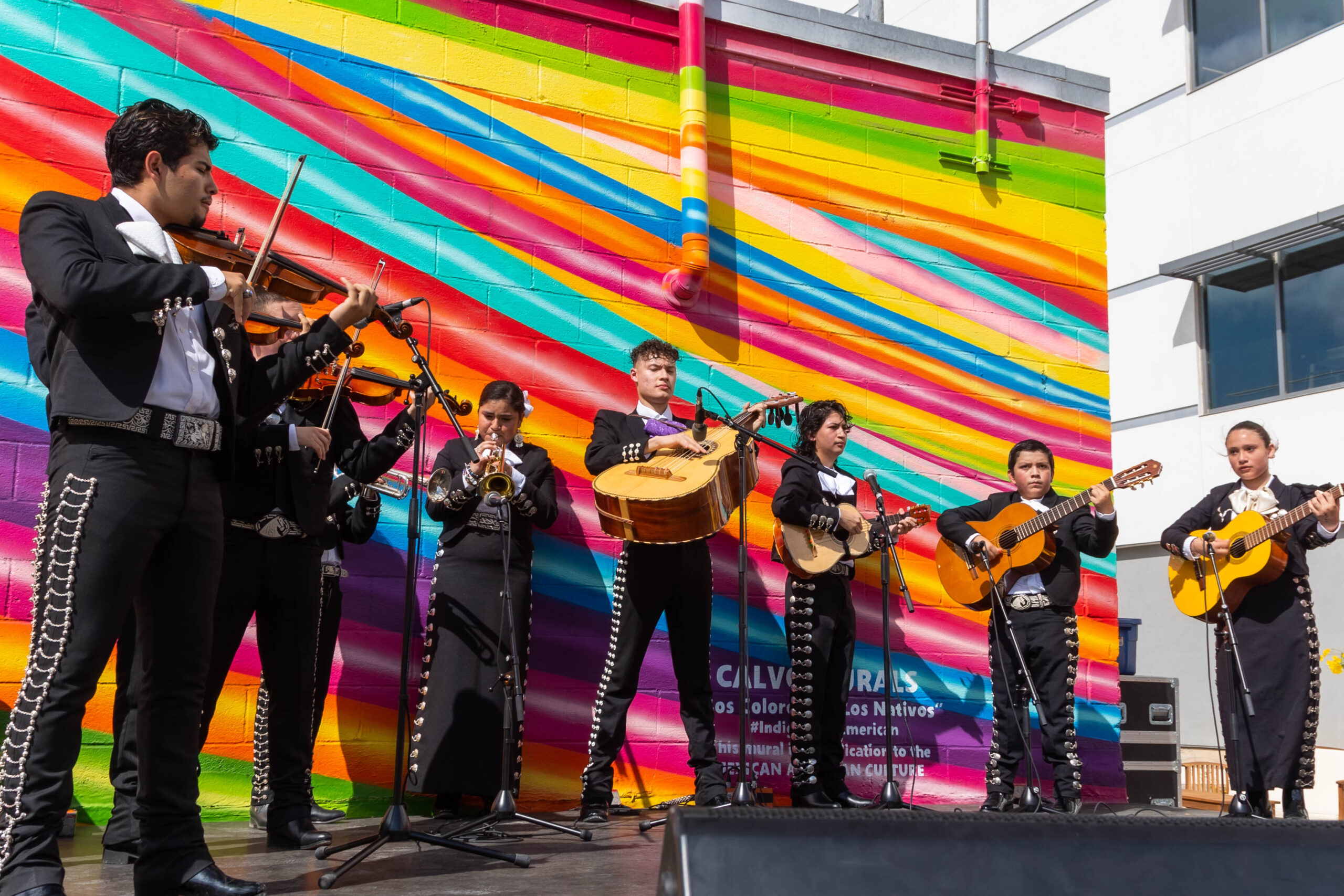 Mariachi performers