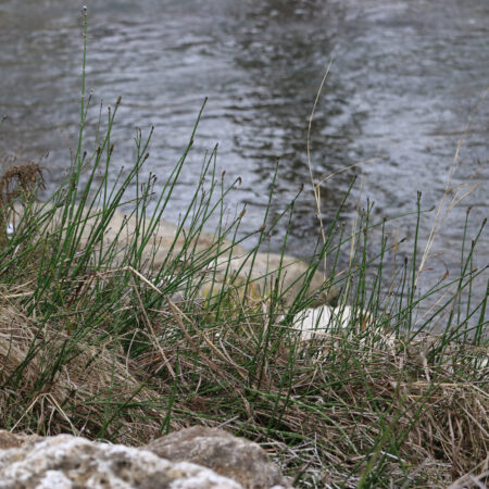 San Pedro Creek Culture Park