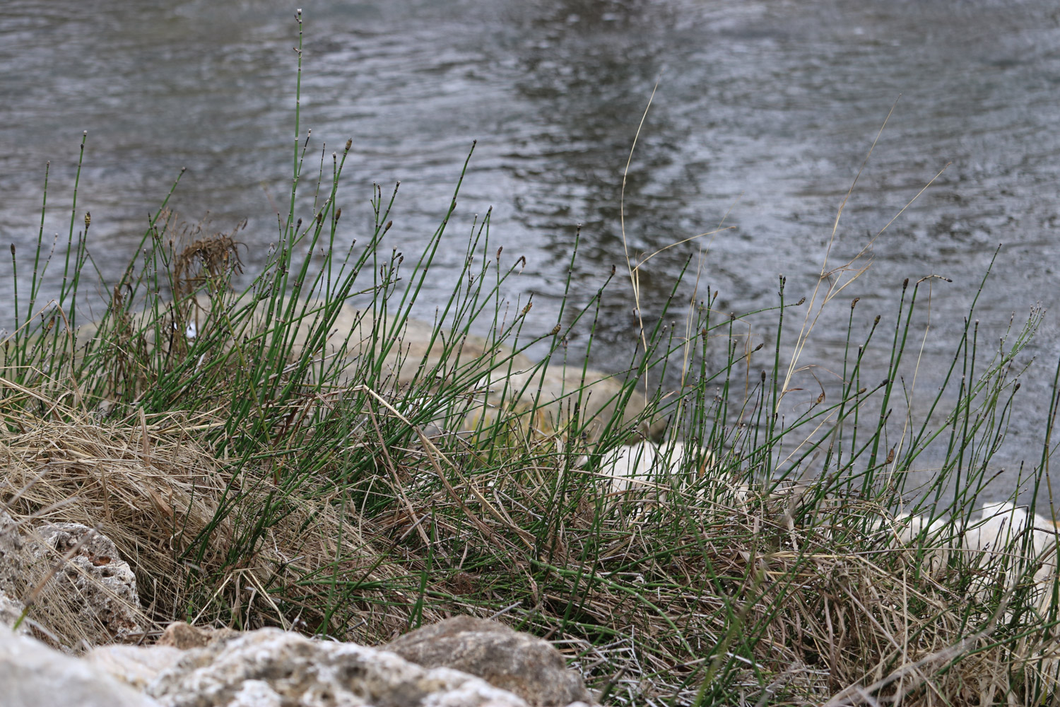 San Pedro Creek Culture Park